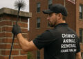 Chimney Animal Removal in Hamilton, OH